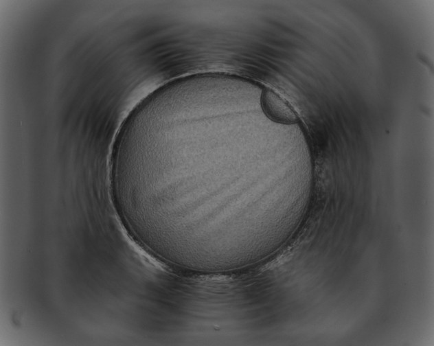 X0000093241135200710171435