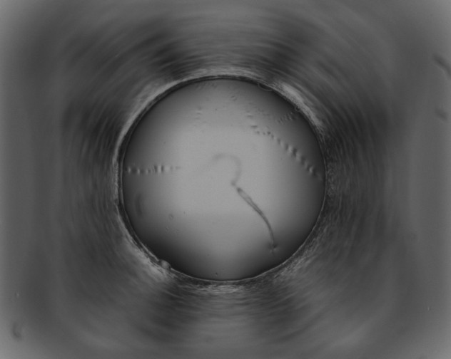 X0000093241140200710171435