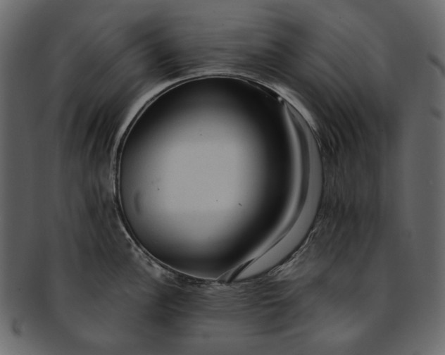 X0000093241148200710171435