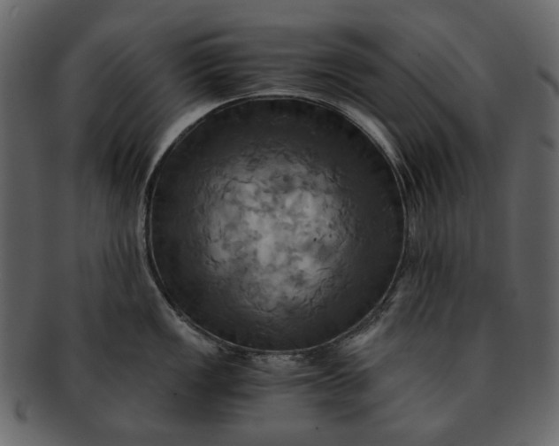 X0000093241149200710171435