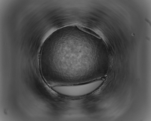 X0000093241151200710171435