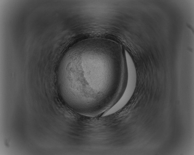 X0000093241153200710171434