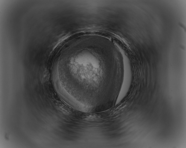 X0000093241160200710171434