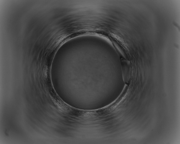 X0000093241161200710171434