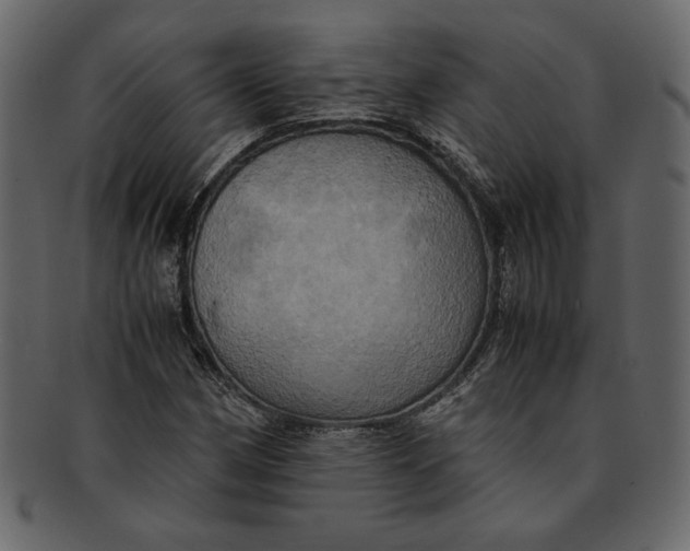 X0000093241162200710171434