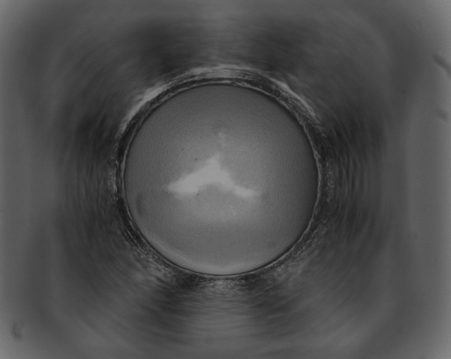 X0000093241166200710171434