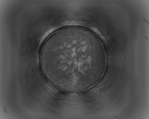 X0000093241167200710171434