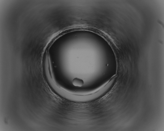X0000093241168200710171434