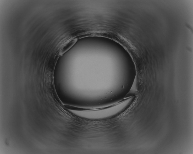 X0000093241169200710171434