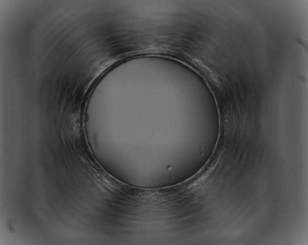 X0000093241170200710171434