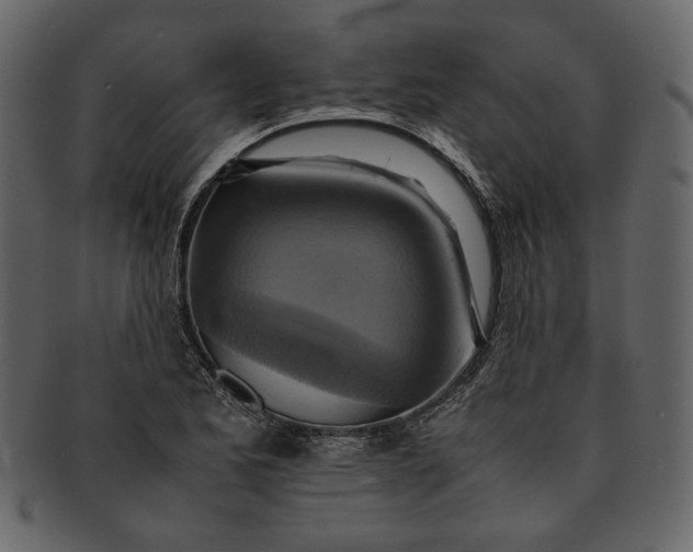 X0000093241173200710171434