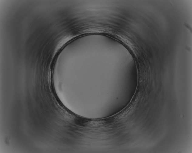 X0000093241179200710171434
