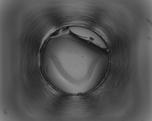 X0000093241180200710171434