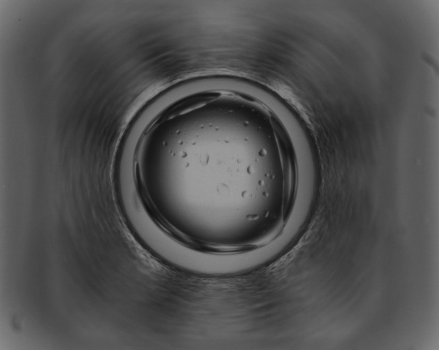 X0000093241181200710171434