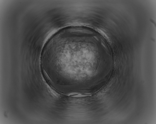 X0000093241183200710171434