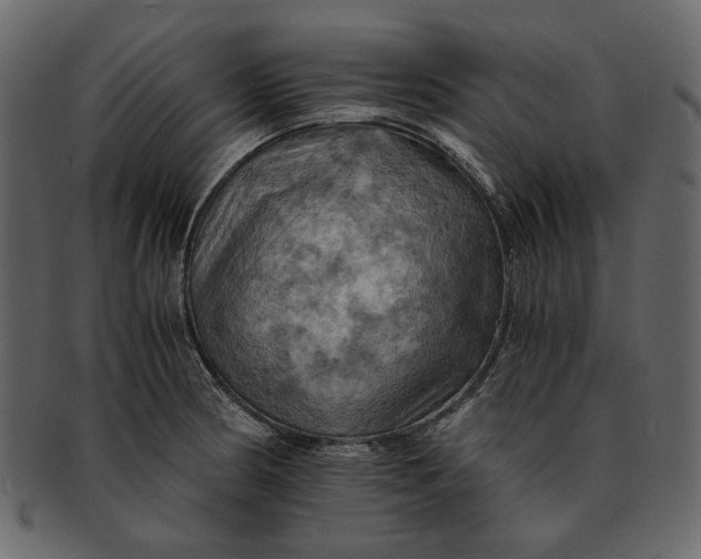 X0000093241186200710171434