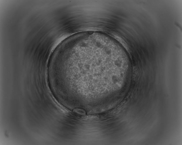 X0000093241187200710171434