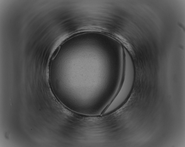 X0000093241188200710171434