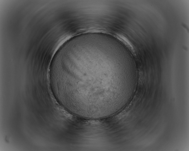 X0000093241190200710171434