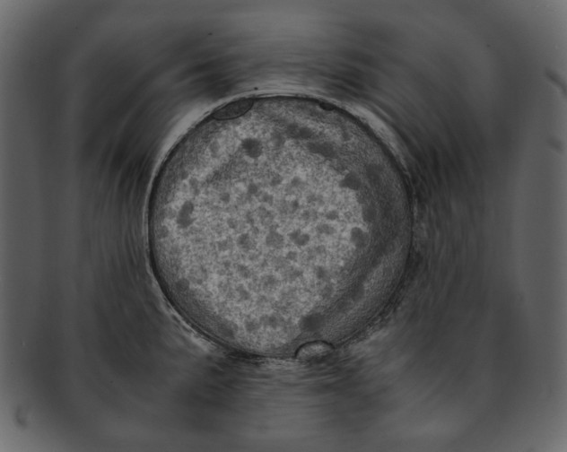 X0000093241191200710171434
