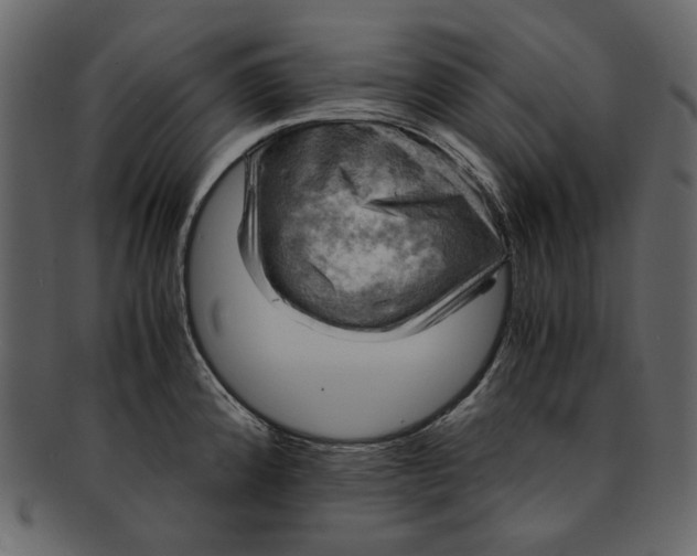 X0000093241192200710171434