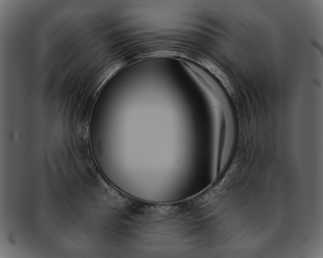 X0000093241193200710171434