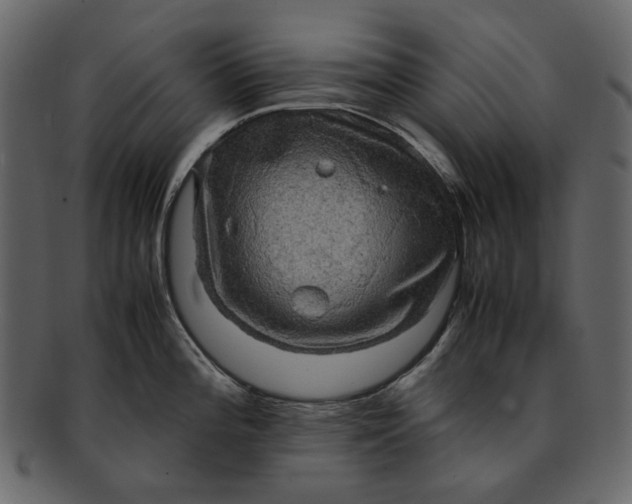 X0000093241196200710171434
