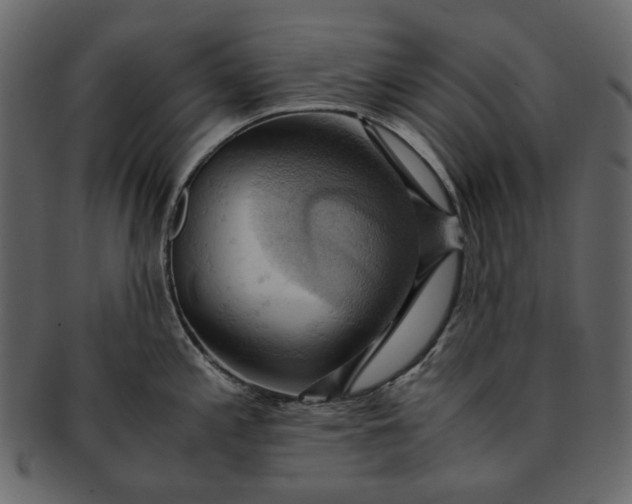 X0000093241197200710171434