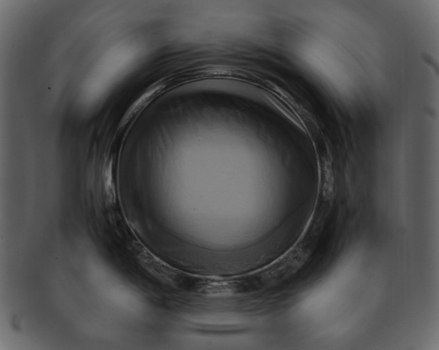 X0000093241198200710171434