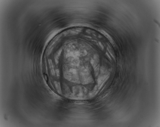 X0000093241199200710171434