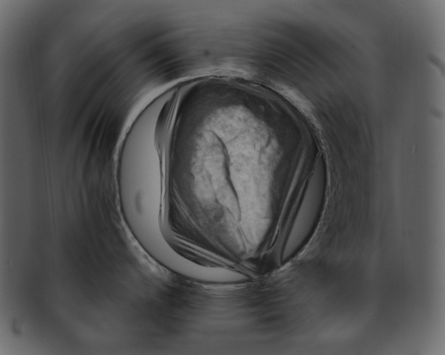 X0000093241200200710171434