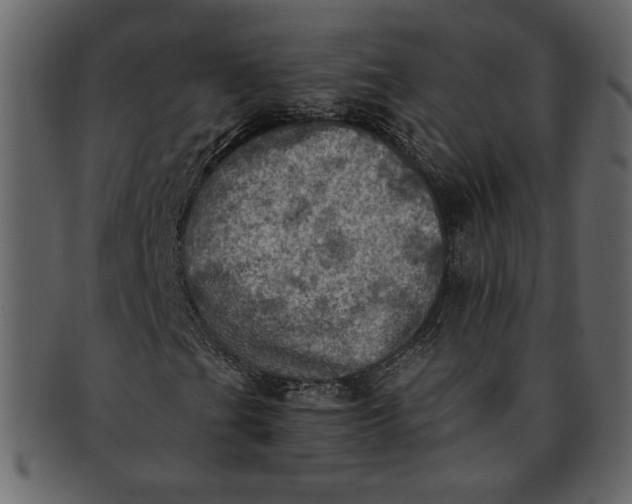 X0000093241201200710171433