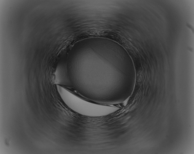 X0000093241202200710171433