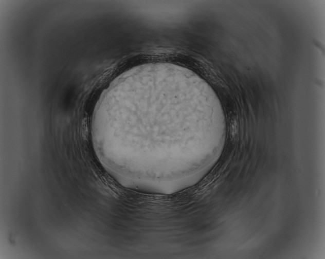 X0000093241204200710171433