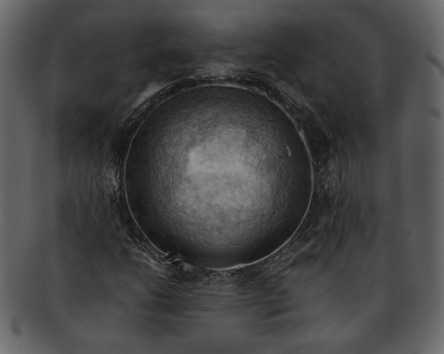 X0000093241206200710171433