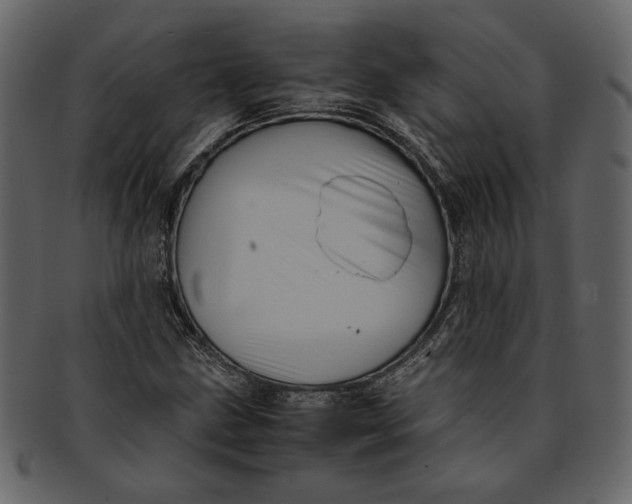 X0000093241211200710171433