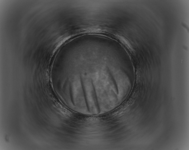 X0000093241212200710171433