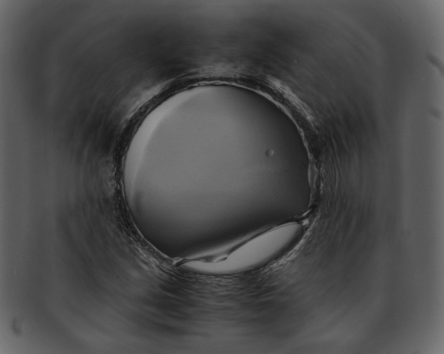 X0000093241213200710171433