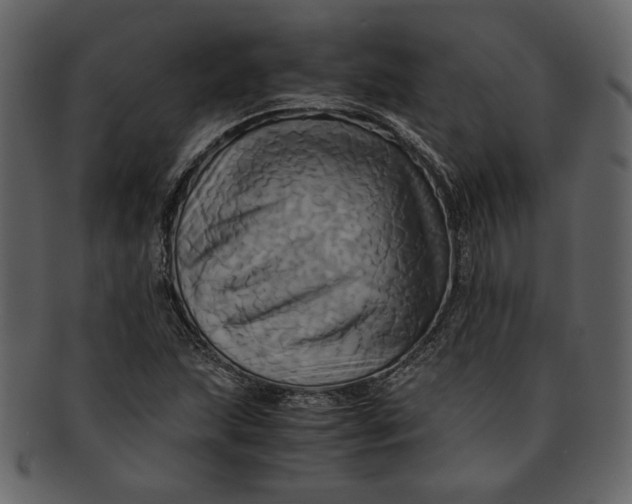 X0000093241215200710171433