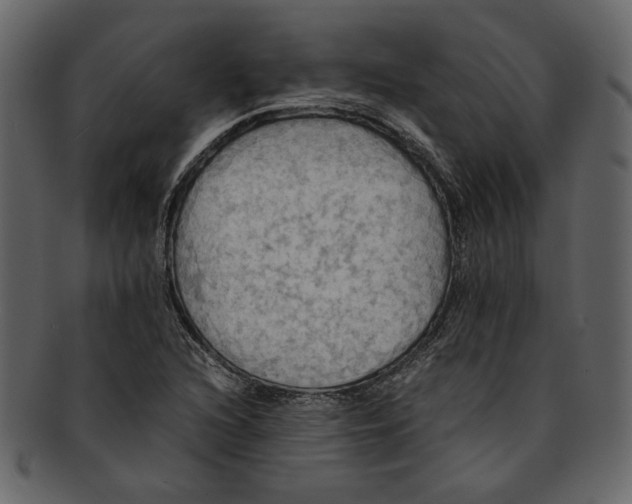 X0000093241216200710171433