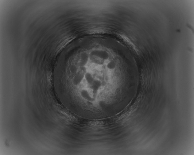 X0000093241217200710171433