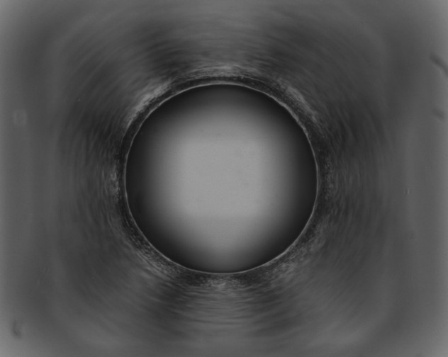 X0000093241218200710171433