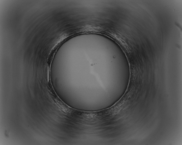 X0000093241219200710171433