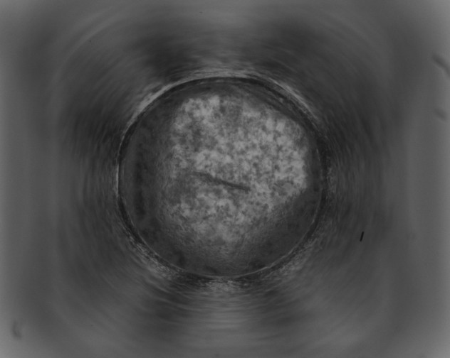 X0000093241220200710171433