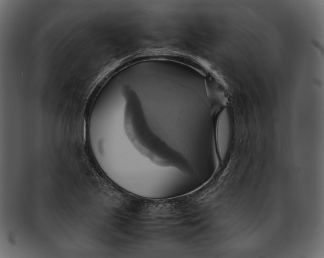 X0000093241221200710171433