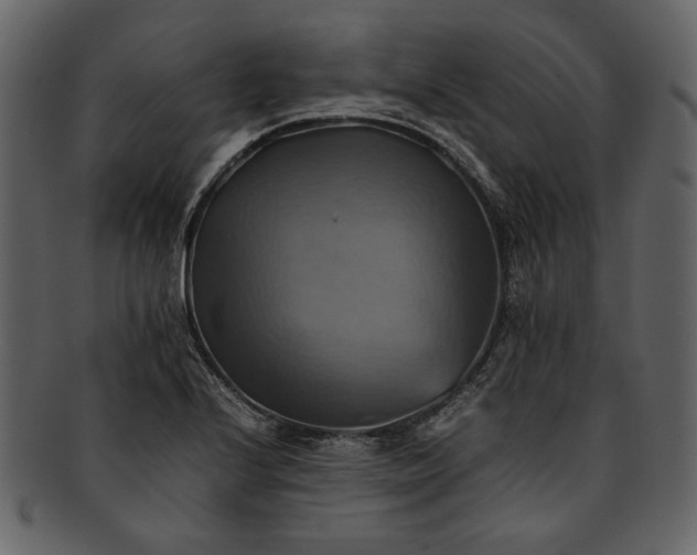X0000093241224200710171433