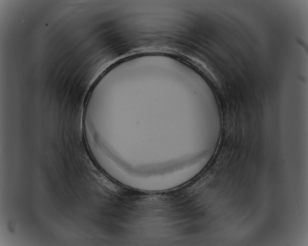X0000093241228200710171433
