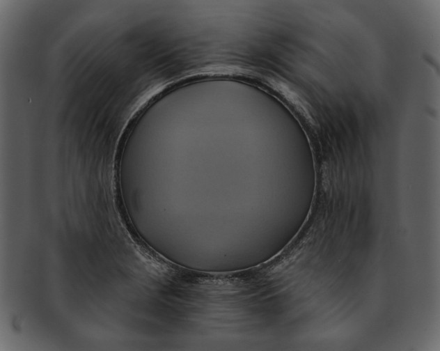 X0000093241229200710171433