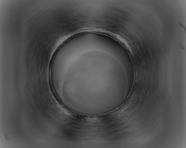 X0000093241231200710171433