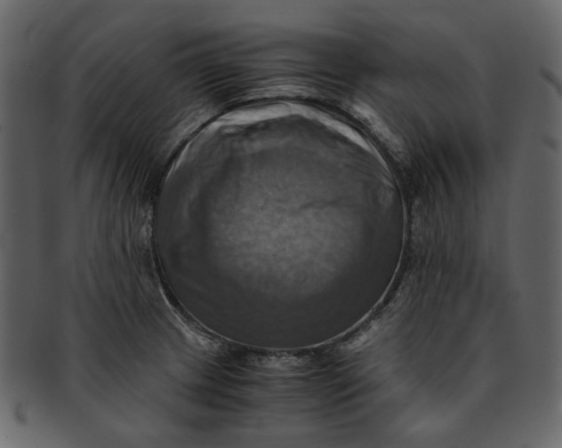 X0000093241233200710171433